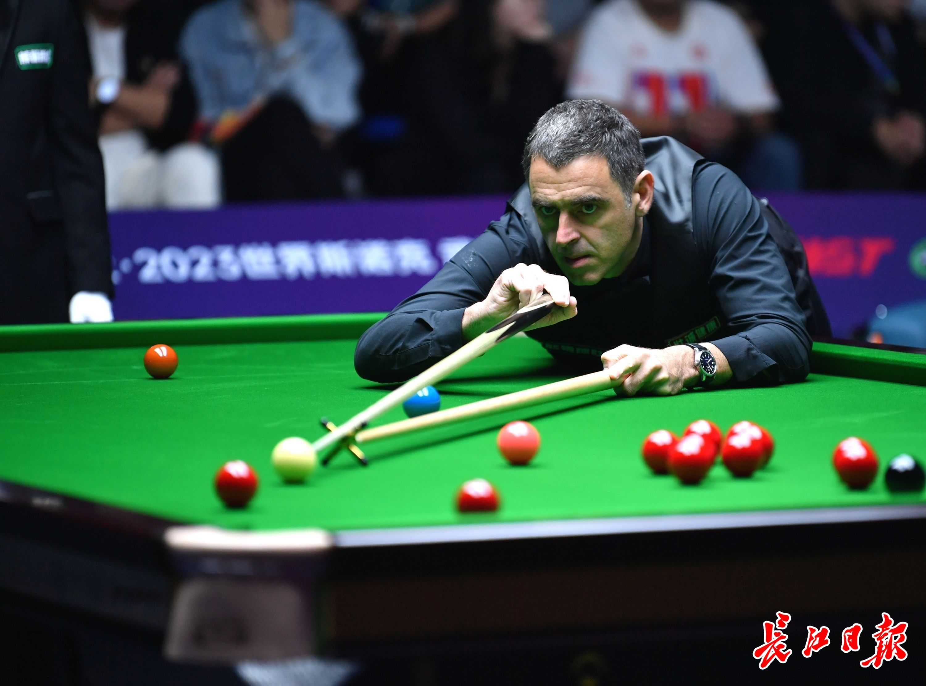 手尤其讓人 手尤其讓人