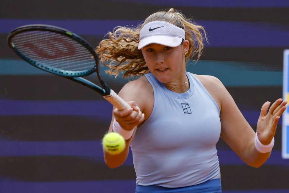 适应能力 适应能力